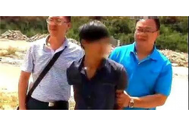 金平融资清欠服务